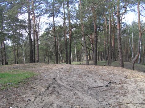 Łysa Góra w Wołominie